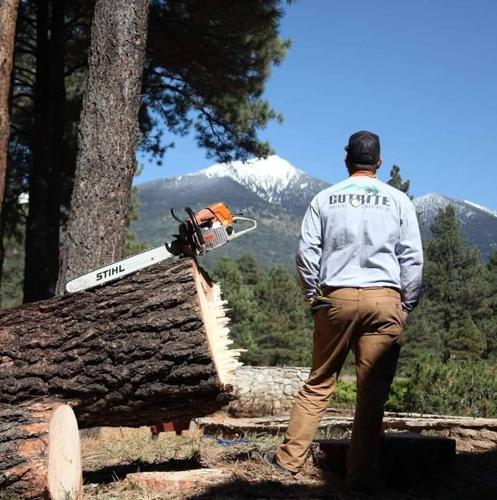 Standing tall: Cut Rite Forestry tops the list for Best Tree Services